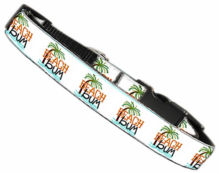 Beach Bum Nylon Pet Leash 3/8in by 6ft